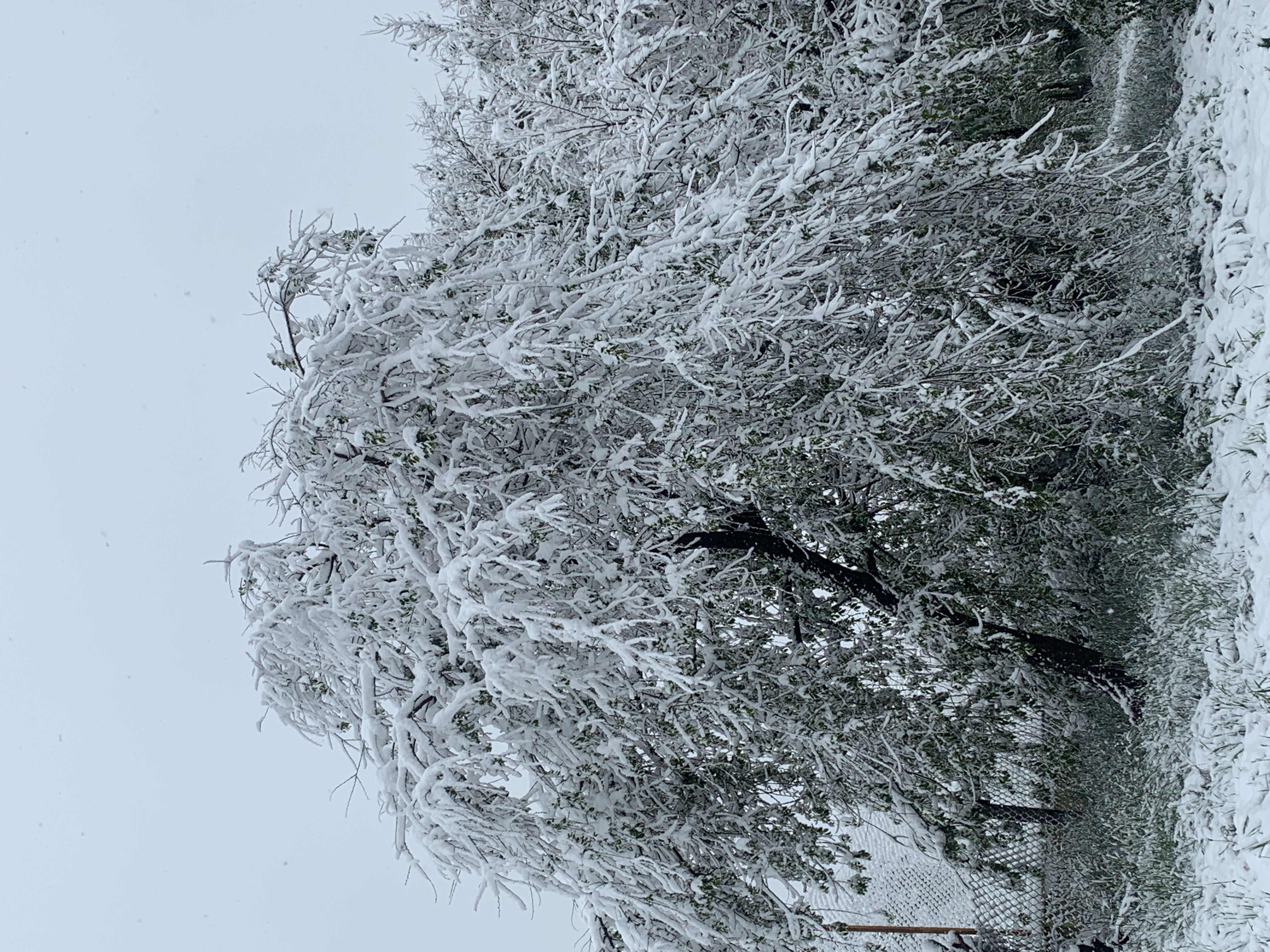 Winter in Aurora CO Near Chambers and 23rd.
