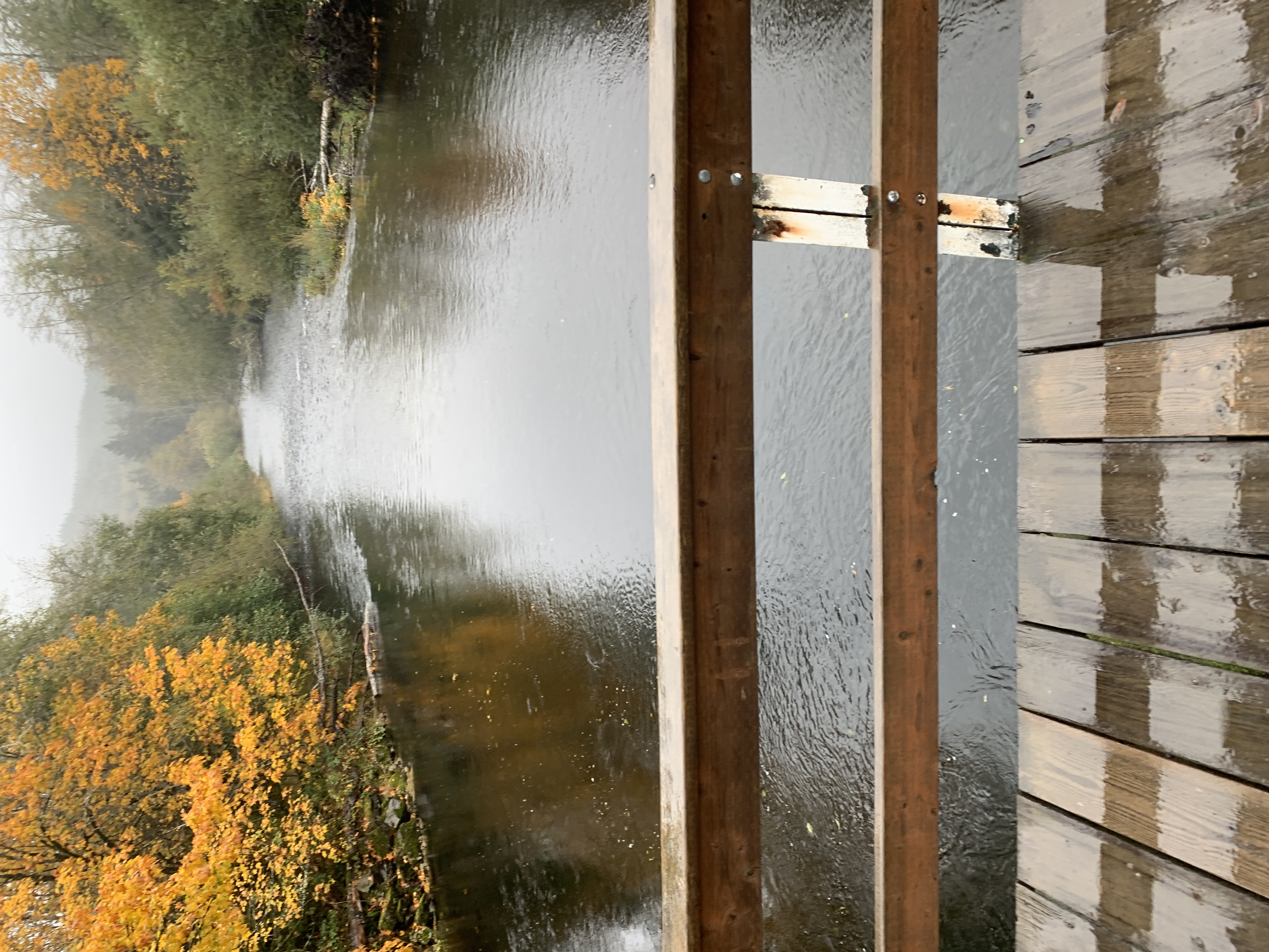 Nencanicum River off of Sunset Hwy Seaside, Oregon 
